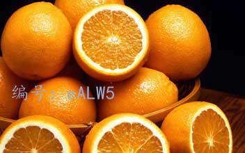 ģ
