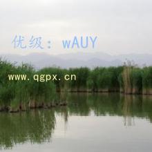 ͨ